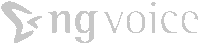 ng-voice GmbH
